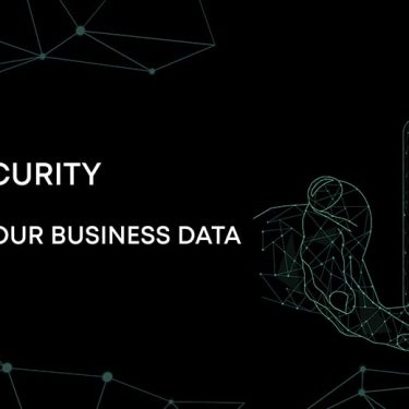 Software Security: Safeguarding Your Business Data 3 Software Security: Safeguarding Your Business Data